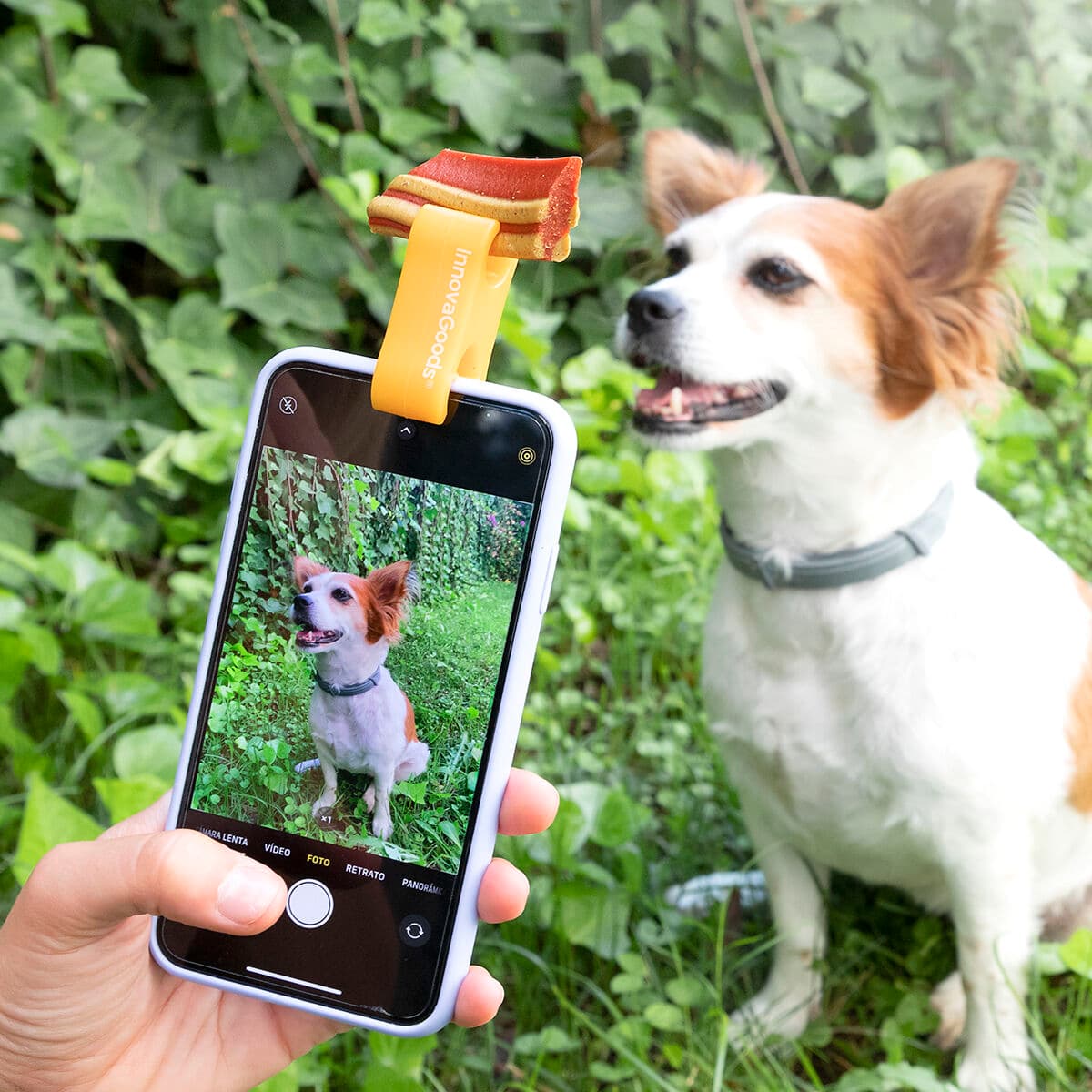 Clip de Selfies para Mascotas Pefie InnovaGoods - Vista 1