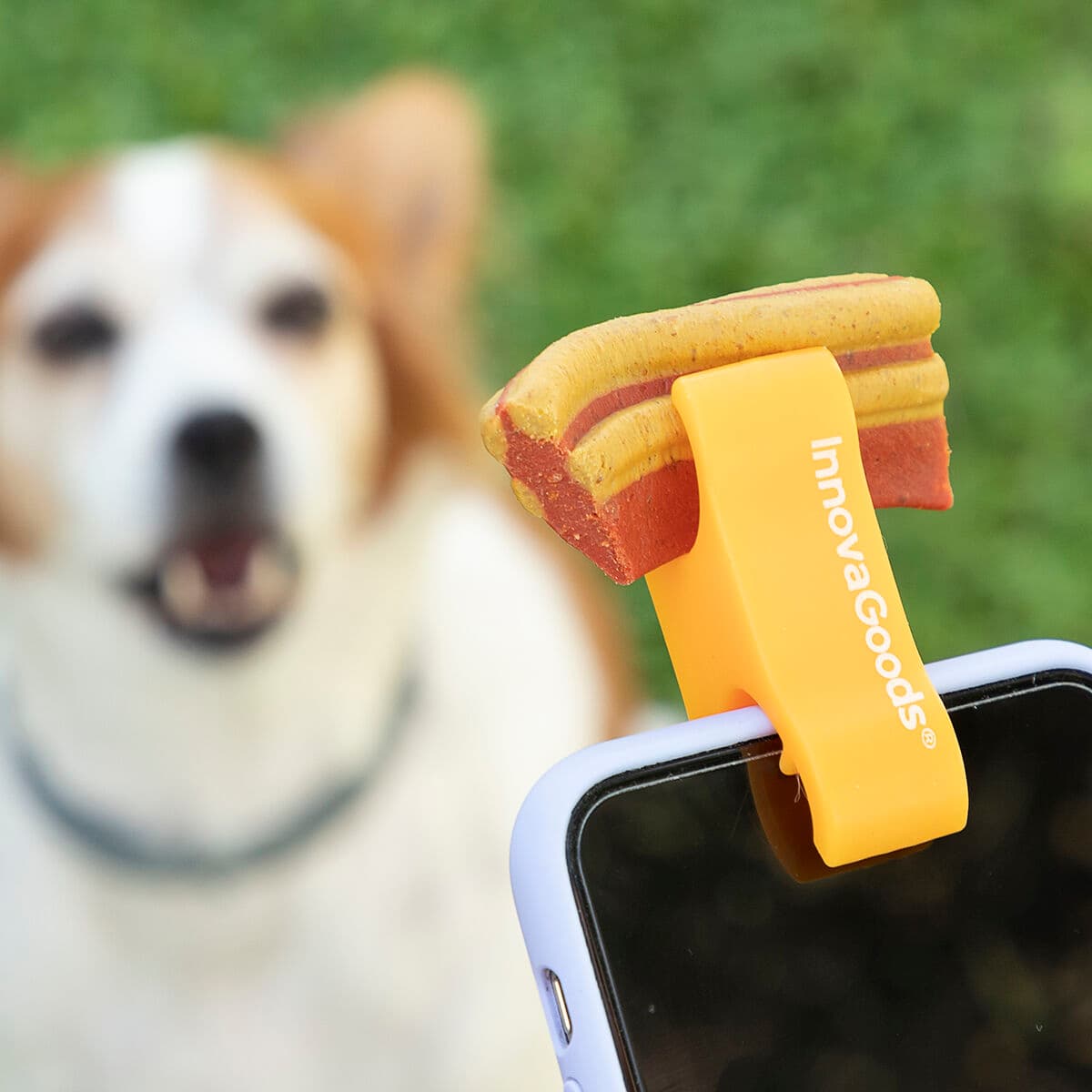 Clip de Selfies para Mascotas Pefie InnovaGoods - Vista 8
