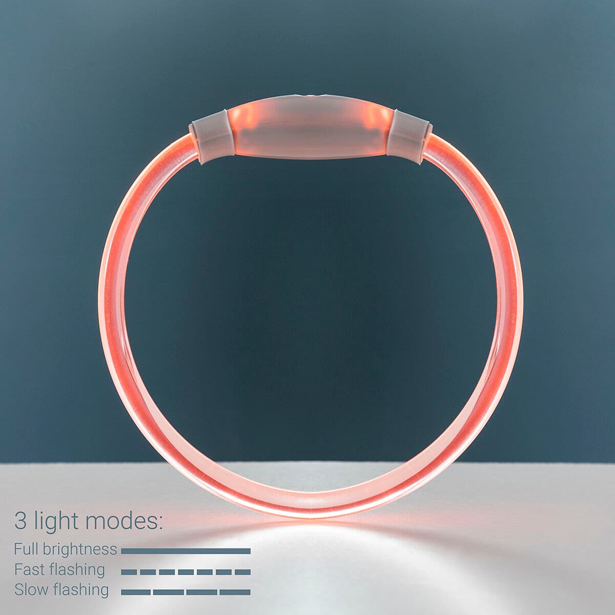 Collar LED para Mascotas Petlux InnovaGoods - Vista 10